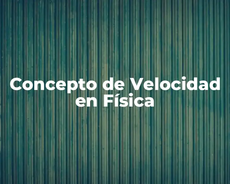 Concepto de Velocidad en Física