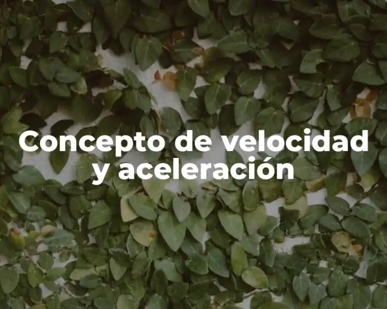 Concepto de velocidad y aceleración