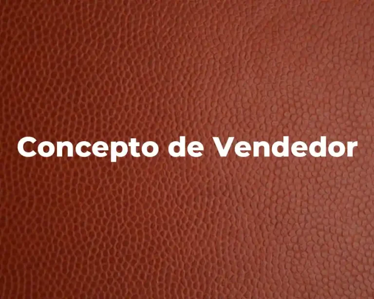 Concepto de Vendedor
