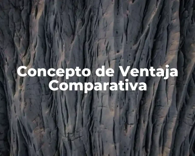 Concepto de Ventaja Comparativa