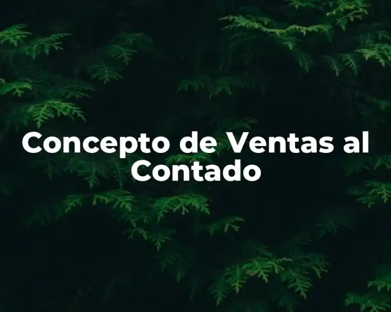 Concepto de Ventas al Contado