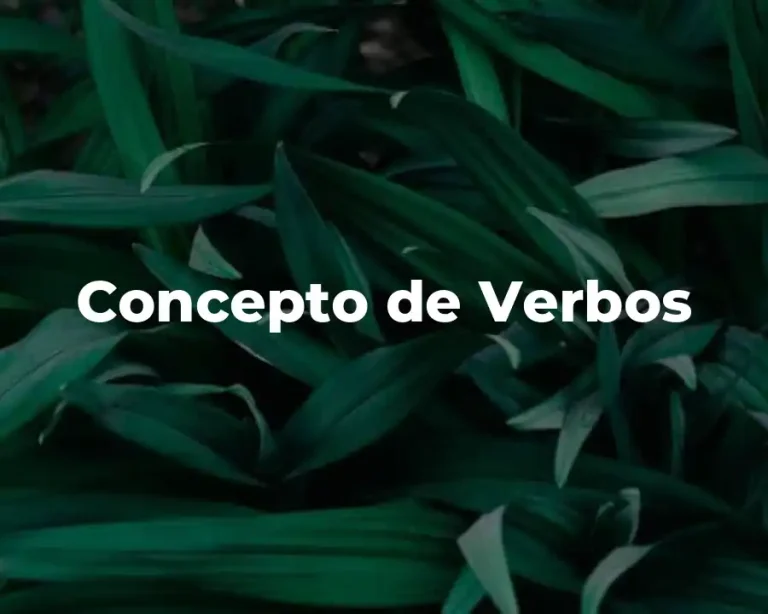 Concepto de Verbos