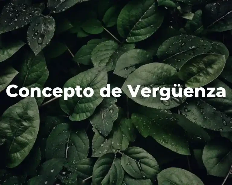 Concepto de Vergüenza