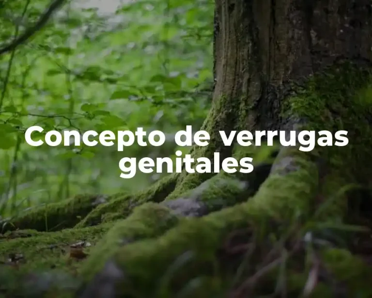 Concepto de verrugas genitales