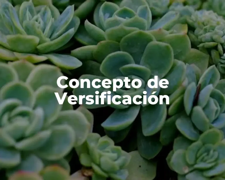 Concepto de Versificación