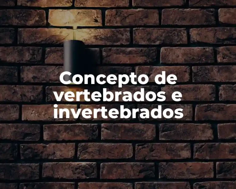 Concepto de vertebrados e invertebrados