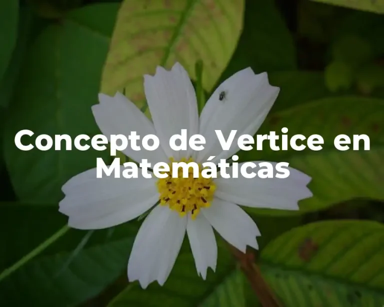 Concepto de Vertice en Matemáticas