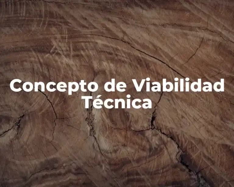 Concepto de Viabilidad Técnica