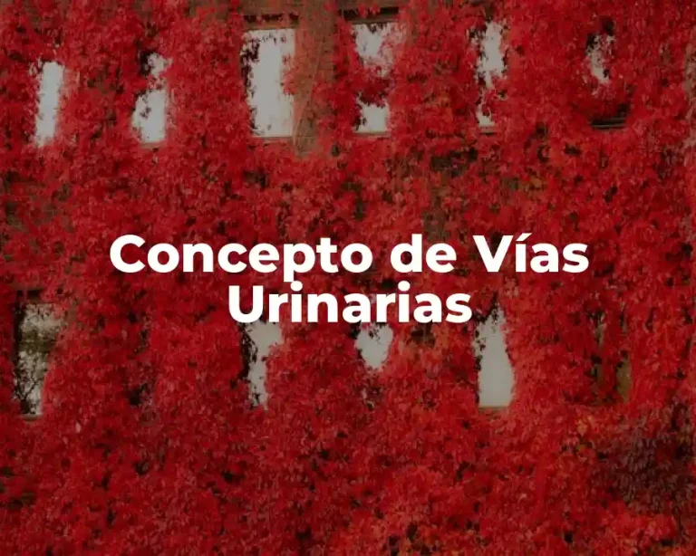 Concepto de Vías Urinarias
