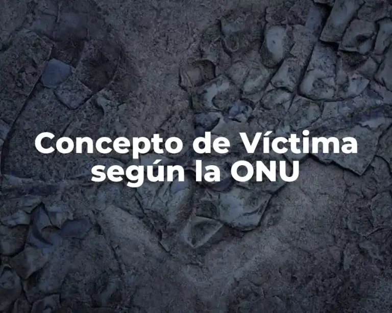 Concepto de Víctima según la ONU