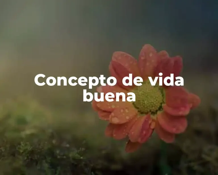 Concepto de vida buena