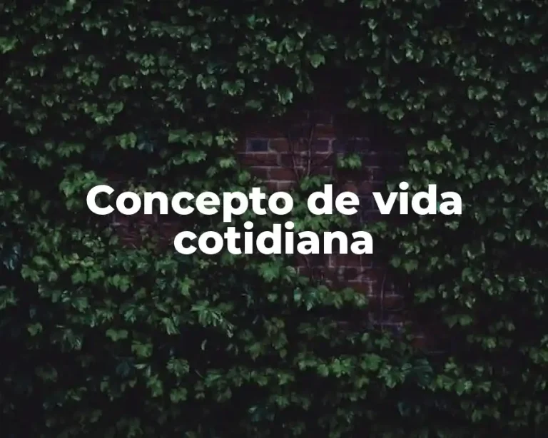 Concepto de vida cotidiana