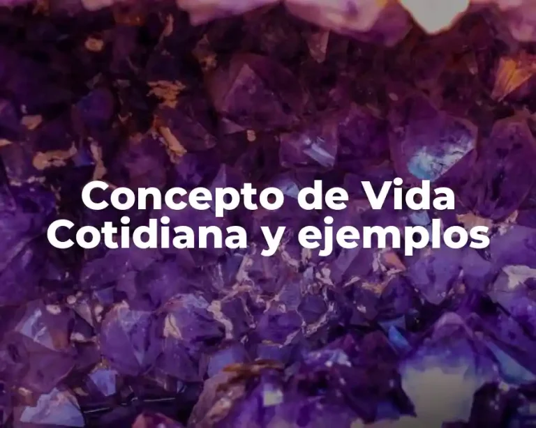 Concepto de Vida Cotidiana y ejemplos