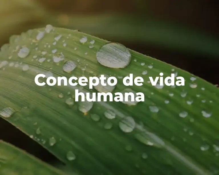 Concepto de vida humana