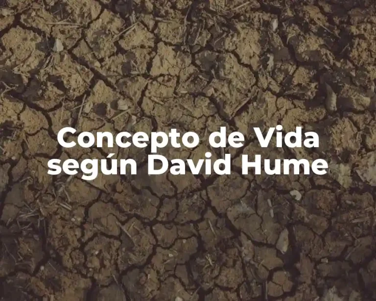 Concepto de Vida según David Hume