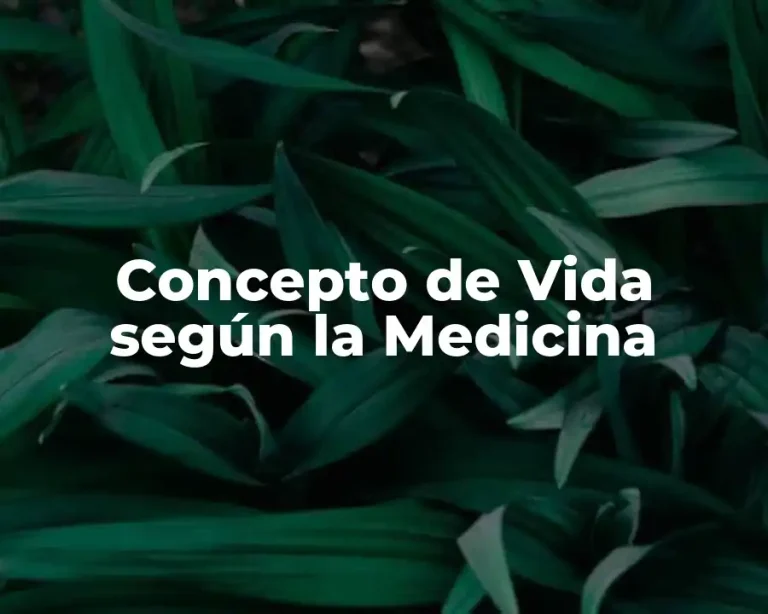 Concepto de Vida según la Medicina
