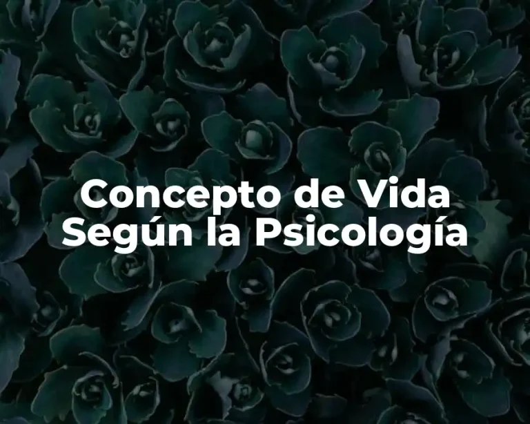Concepto de Vida Según la Psicología