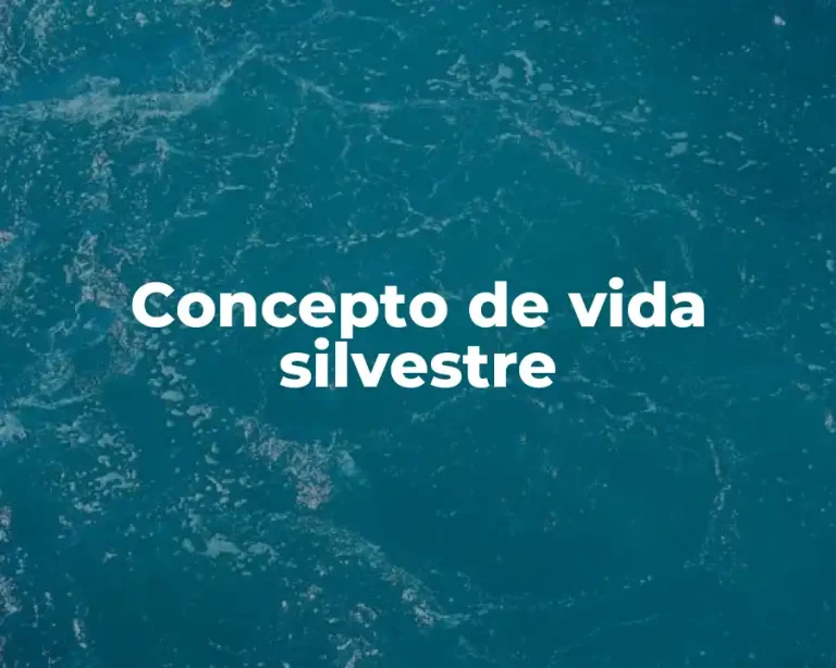 Concepto de vida silvestre
