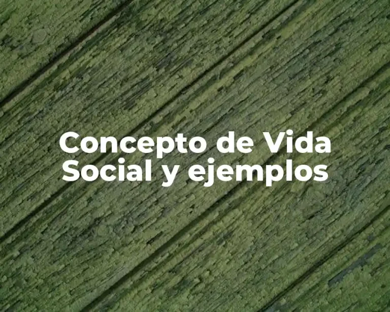 Concepto de Vida Social y ejemplos