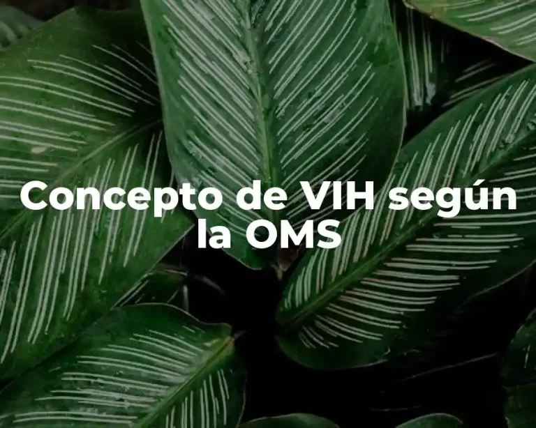 Concepto de VIH según la OMS