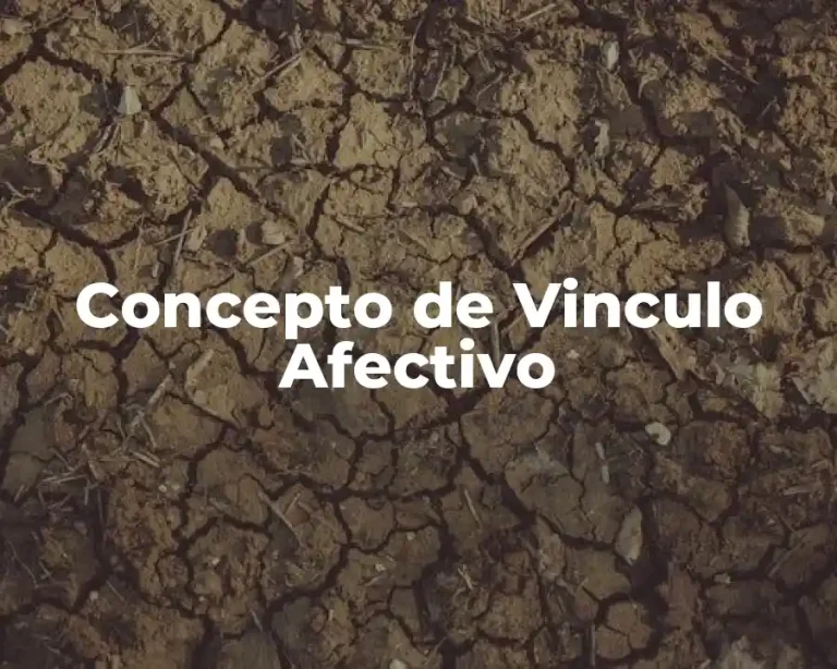 Concepto de Vinculo Afectivo
