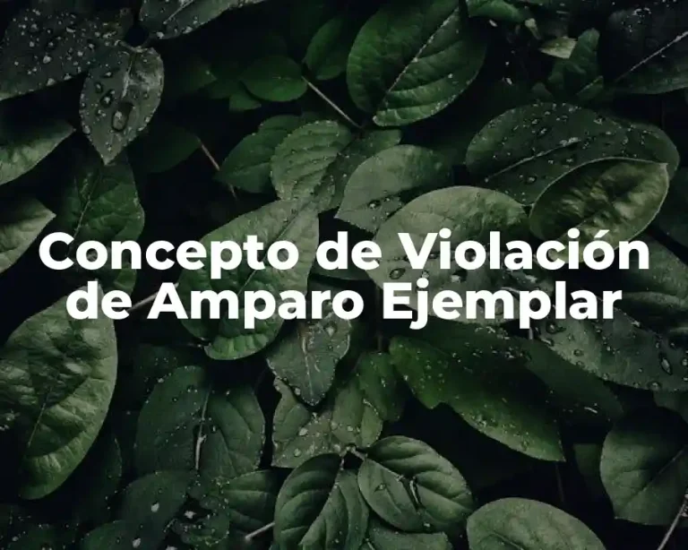 Concepto de Violación de Amparo Ejemplar