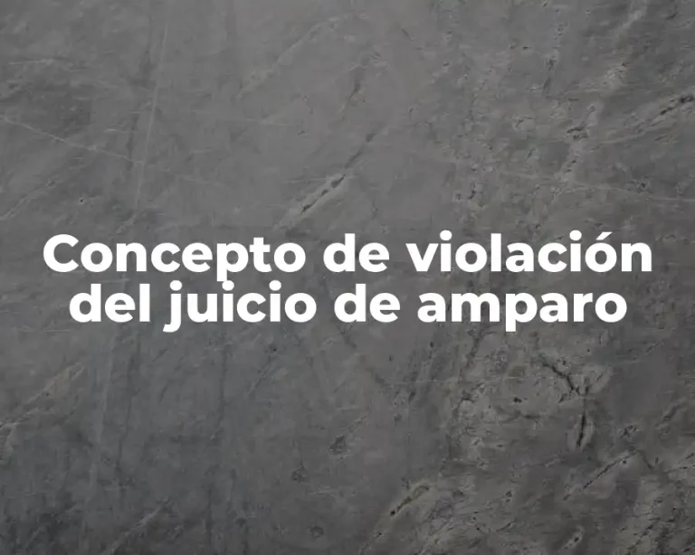Concepto de violación del juicio de amparo