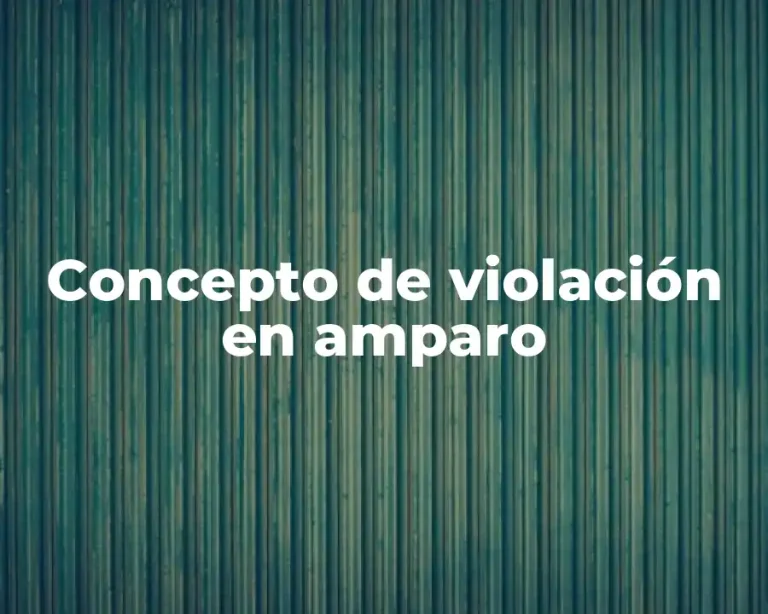 Concepto de violación en amparo