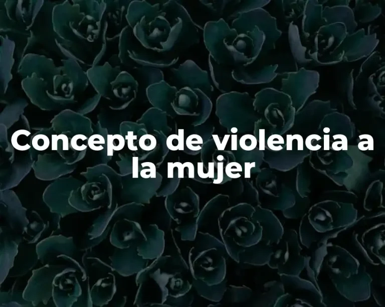 Concepto de violencia a la mujer