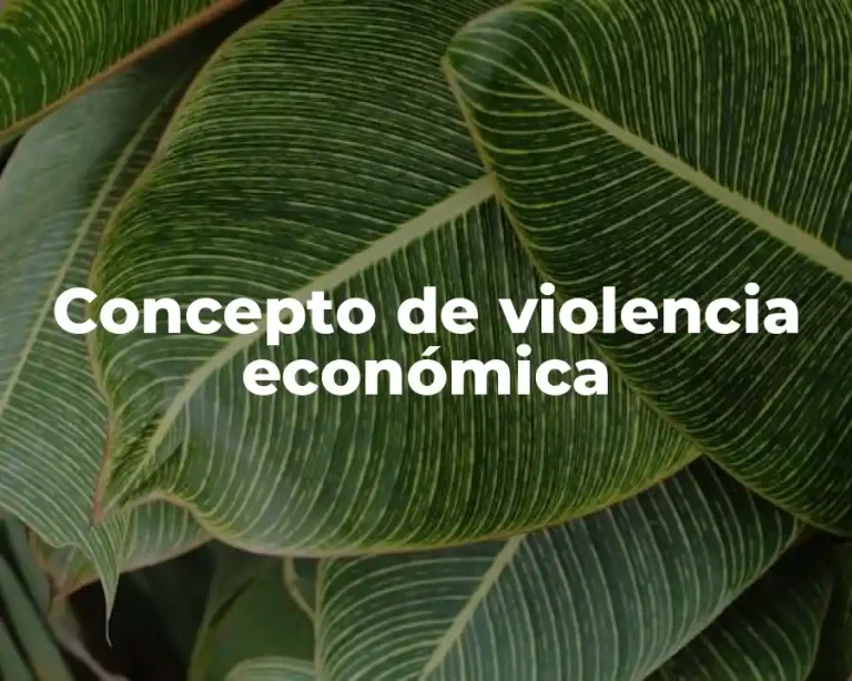Concepto de violencia económica