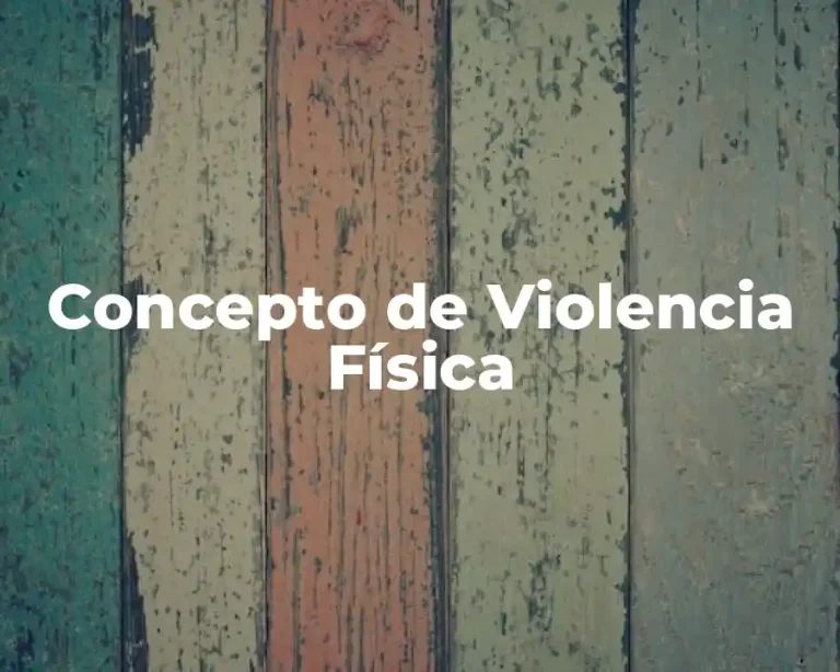 Concepto de Violencia Física