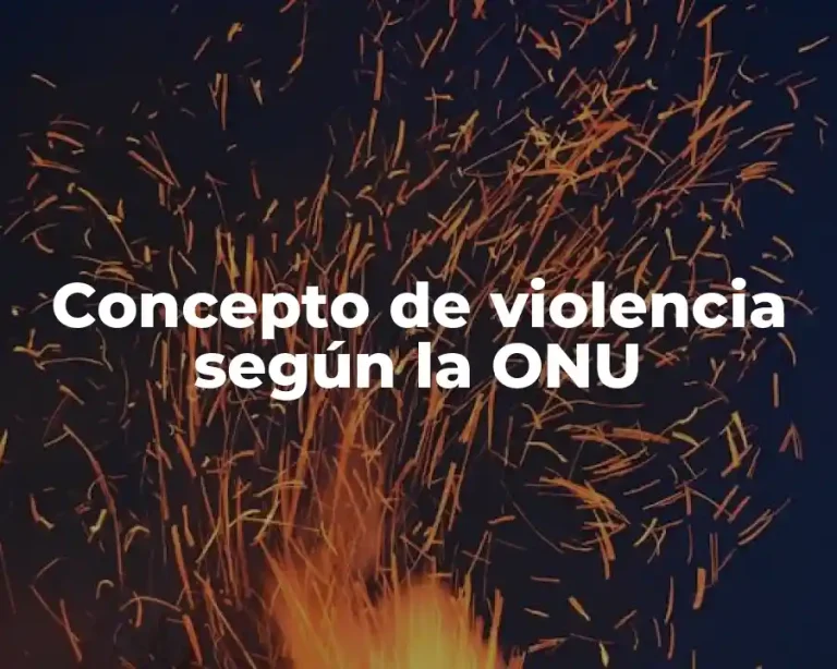 Concepto de violencia según la ONU