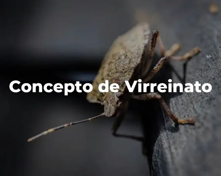 Concepto de Virreinato