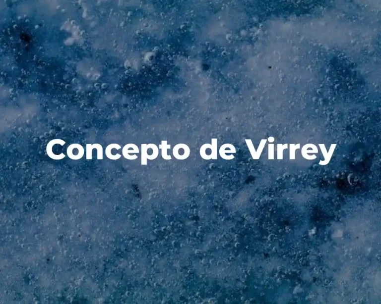 Concepto de Virrey