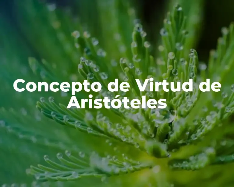 Concepto de Virtud de Aristóteles