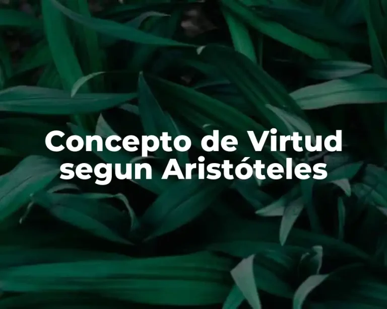 Concepto de Virtud segun Aristóteles