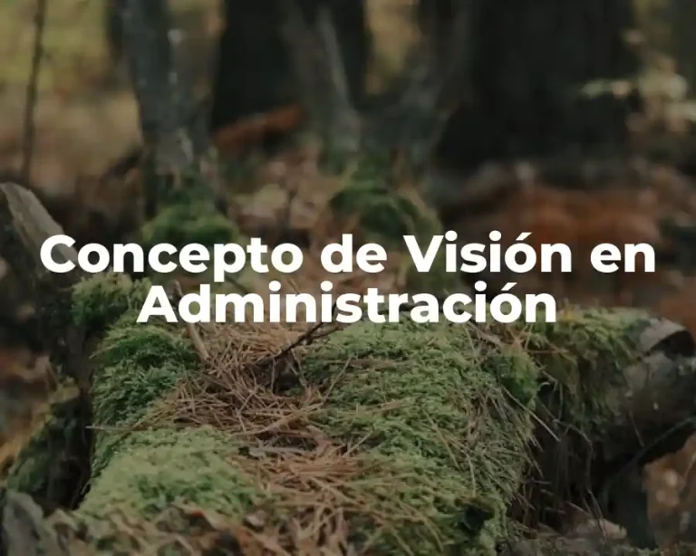 Concepto de Visión en Administración