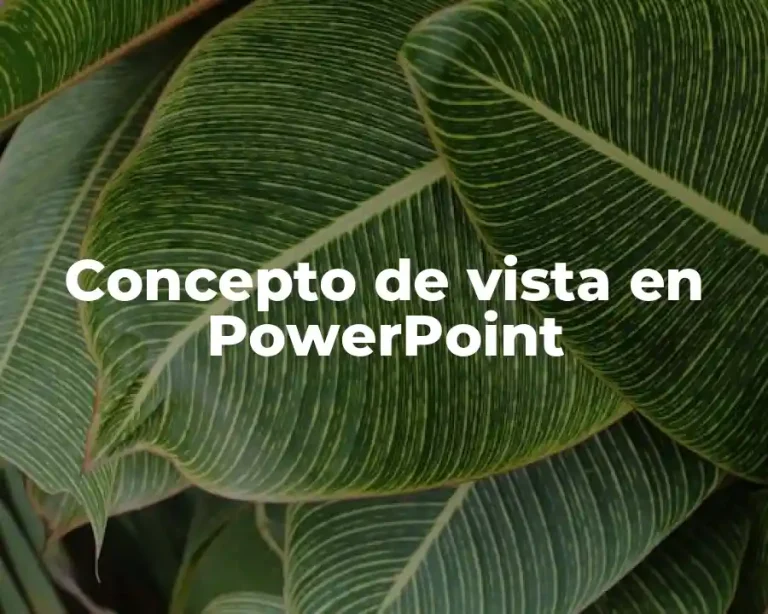Concepto de vista en PowerPoint