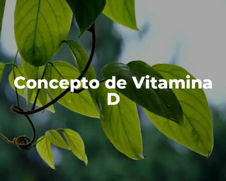 Concepto de Vitamina D