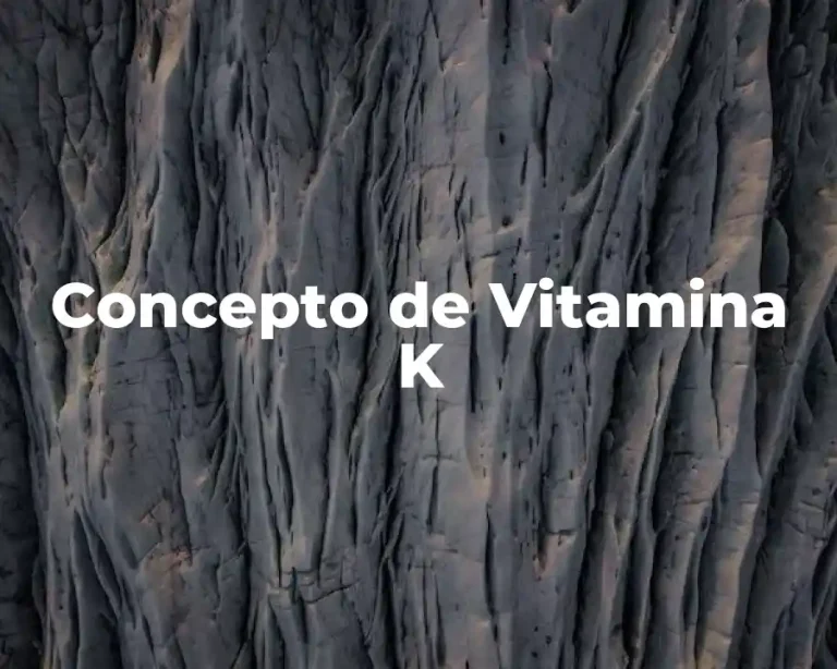 Concepto de Vitamina K