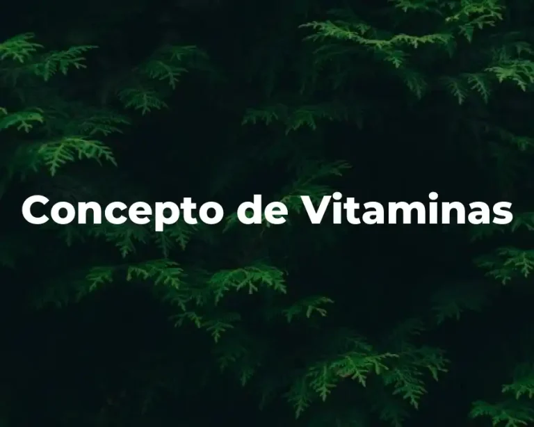 Concepto de Vitaminas