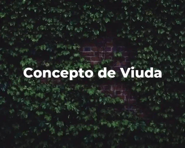 Concepto de Viuda