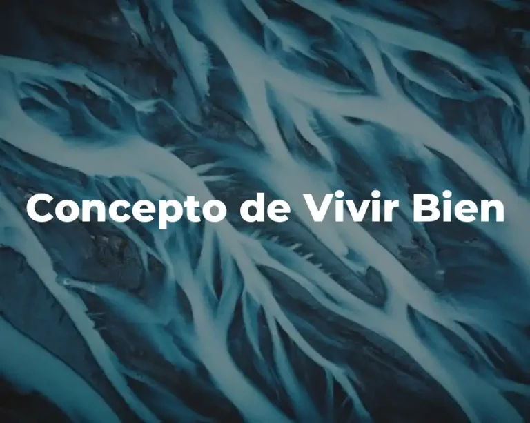 Concepto de Vivir Bien