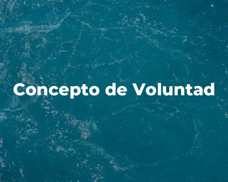 Concepto de Voluntad