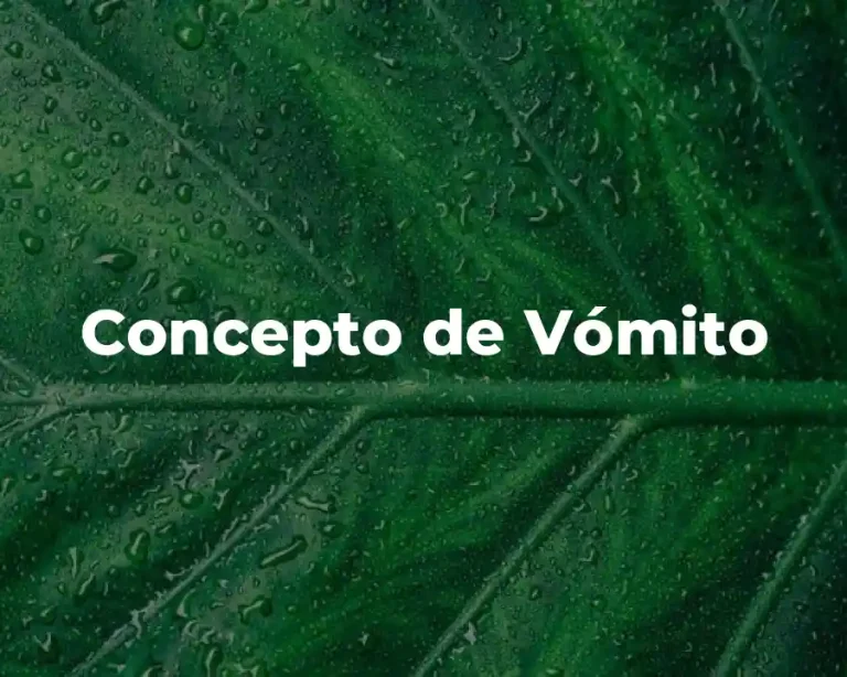 Concepto de Vómito