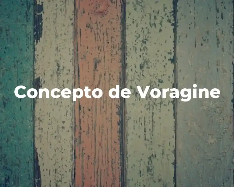 Concepto de Voragine