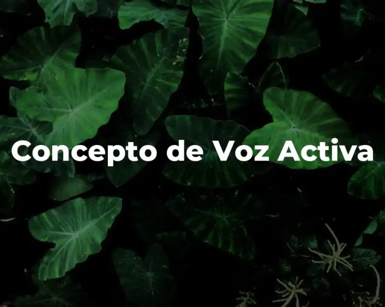 Concepto de Voz Activa