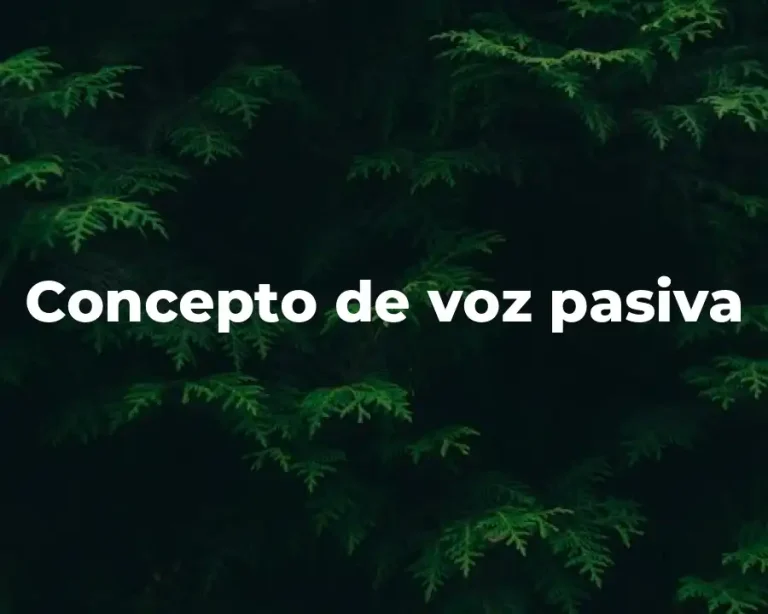 Concepto de voz pasiva