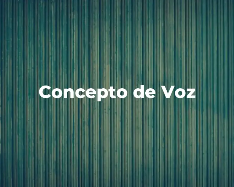 Concepto de Voz