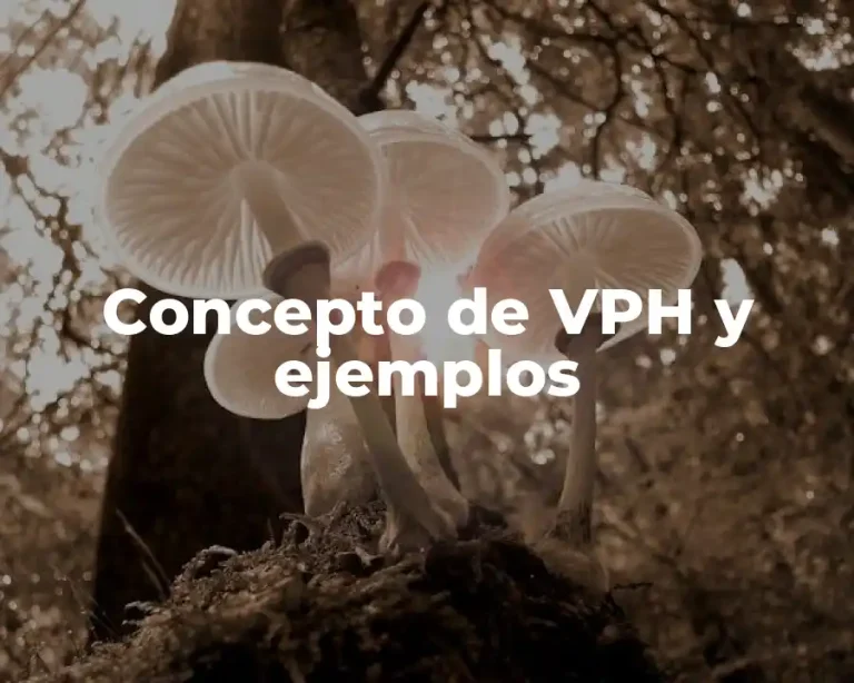 Concepto de VPH y ejemplos